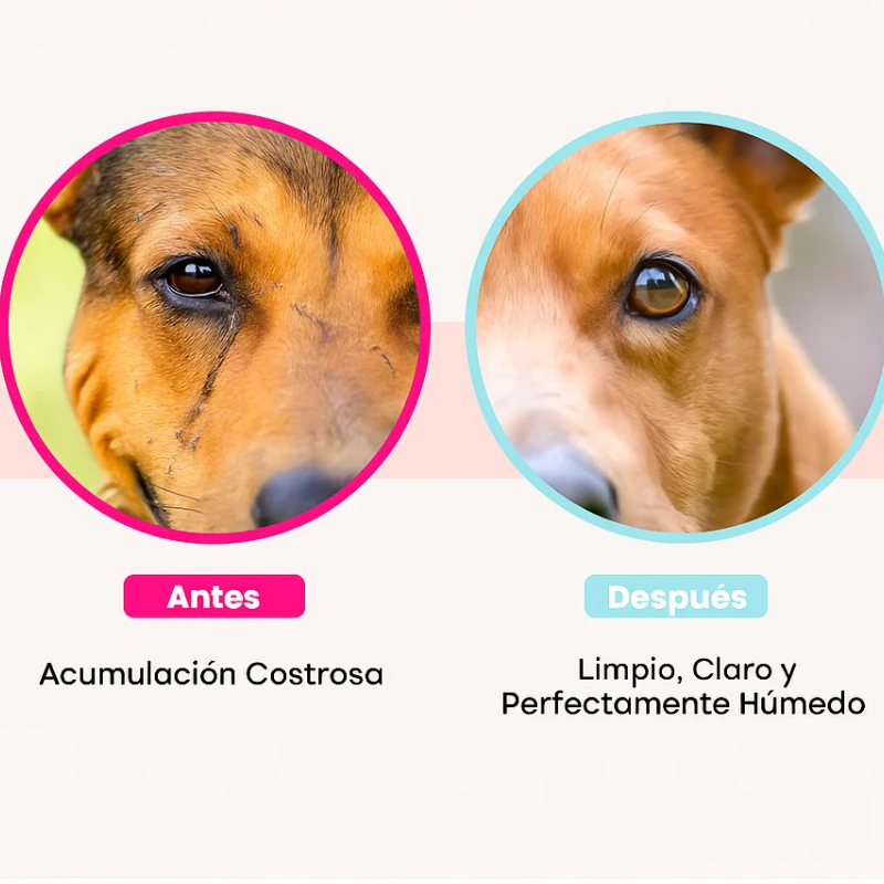 Toallitas de limpieza para ojos de mascotas