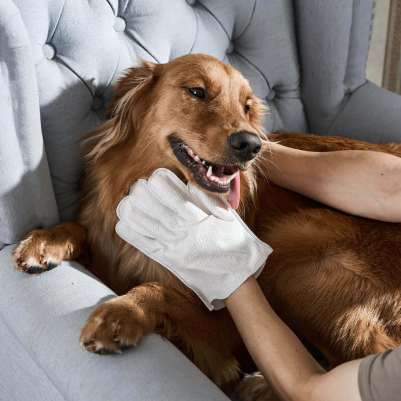 Guantes de limpieza para mascotas Emporium