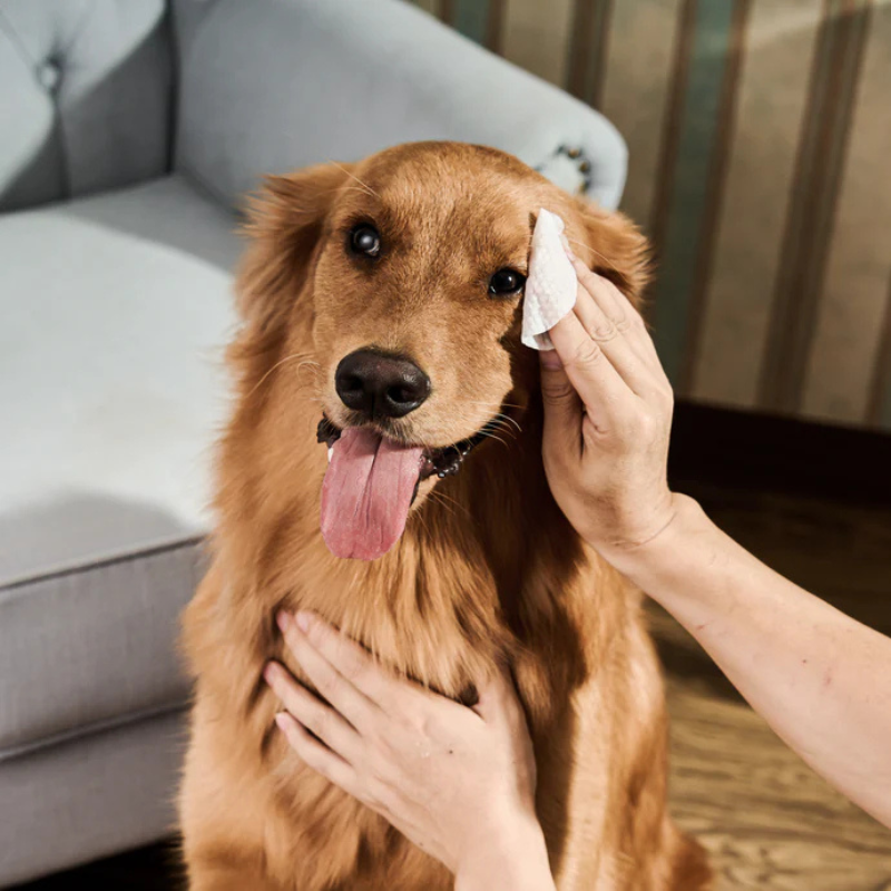 Toallitas de limpieza para ojos de mascotas
