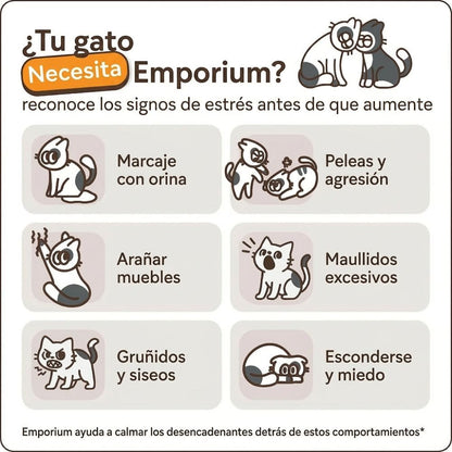 Kit difusor para gatos