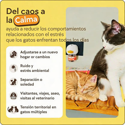 Kit difusor para gatos