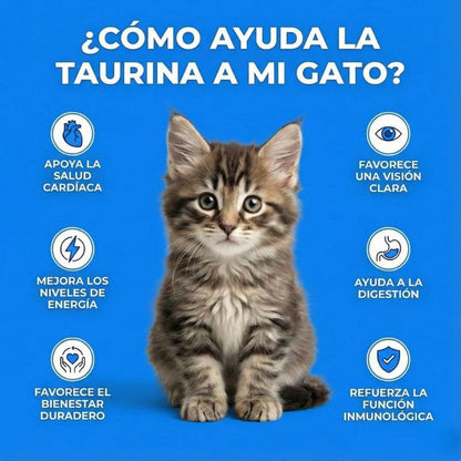TaurinaVital+